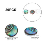 Natural Abalone Shell/Paua Shell Cabochons, with Freshwater Shell, Flat Round, Colorful, 12x3mm, 20pcs/box