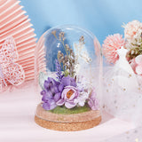 Glass Dome Cover, Decorative Display Case, Cloche Bell Jar Terrarium with Wood Base, Clear, 150x100mm