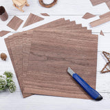 8 Sheets Walnut Wood Sheet, Wood Veneer, Thin Unfinished Wood for Wood Craft DIY Project, Square, Camel, 300x300x0.5mm