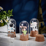 10 set Glass Dome Cover, Decorative Display Case, Cloche Bell Jar Terrarium with Cork Base, Arch, Clear, 37x78mm