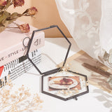 Hanging Geometric Hexagonal Glass & Brass Picture Photo Frame, for Dried Flower Plant Specimen Clip Display , Black, 100x101x8mm, Inner Diameter: 81x95mm