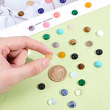 Gemstone Cabochons, Half Round/Dome, 10x4~5mm, 20 materials, 2pcs/material, 40pcs/box