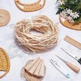 100G Natural Rattan Wicker, with 10Pcs Rubber Wood Nail, Solid Weaving Material, for DIY Furniture Knitting Craft, Repairing, BurlyWood, 3.6~4x0.6~1mm