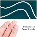 Natural Trochid Shell/Trochus Shell Beads Strands, Column, White, 3.5~4x2~2.5mm, Hole: 0.8mm, about 176pcs/strand, 15.94''(40.5cm)