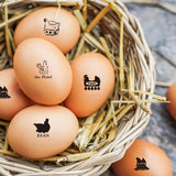 5Pcs 5 Styles Plastic Rubber Stamps with Wood Handles, DIY Egg Drawing Stamps, Egg, 55x20mm, Pattern: 18mm, 1pc/style