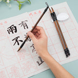 Writing Tool, with Gridded Magic Cloth Water-Writing, Spoon Shape Ink Tray Containers and Chinese Calligraphy Brushes Pen, White, 43x33x0.01cm