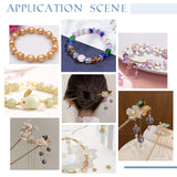 240Pcs 4 Style 304 Stainless Steel Bead Caps, Multi-Petal, Real Gold Plated & Stainless Steel Color, 6~10x1~2.5mm, Hole: 1.2mm, 60pcs/style