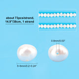 2 Strand Natural Cultured Freshwater Pearl Beads Strands, Round, Beige, 5.5~6.5mm, Hole: 0.6mm, about 29~31pcs/strand, 7.09~7.48 inch(18~19cm)