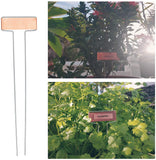 Brass Plant Labels, for Seed Potted Herbs Flowers Vegetables, Rose Gold, 255x66x2.3mm