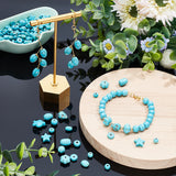 15 Styles Dyed Synthetic Turquoise Beads, Round & Barrel & Pumpkin & Tortoise & Rondelle, Mixed Shapes, 4~15x4~12x3~8mm, Hole: 1~1.4mm, 504pcs/box