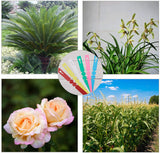 Plastic Plant Labels, for Seed Potted Herbs Flowers Vegetables, Mixed Color, 211x20x0.2mm, 6colors, 100pcs/color, 600pcs/set
