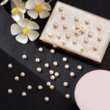 Sew on Acrylic Imitation Pearl, Montee Beads, Two Holes, Garment Accessories, Half Round, Golden, 5.5x3.5mm, Hole: 1.2mm, 500pcs/bag