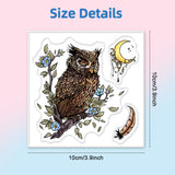 PVC Sakura Stamp, for DIY Scrapbooking, Owl, 100x100mm