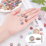 Glass Cabochons, Half Round/Dome with Flower, for Jewelry Making, Colorful, 12x4mm, 100pcs/box