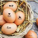 5Pcs 5 Styles Plastic Rubber Stamps with Wood Handles, DIY Egg Drawing Stamps, Chick, 55x20mm, Pattern: 18mm, 1pc/style