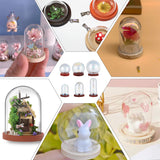 6 Styles Glass Dome Cover, Decorative Display Case, Cloche Bell Jar Terrarium with Wood Base, Clear, Dome: 18~40x29.5~44mm, Base: 18~31x4~5mm