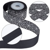 3 Rolls 3 Styles  Halloween Printed Polyester Grosgrain Ribbon, Spider Web Pattern, for Costume Decoration, Black, 3/8 ~1 inch(9~26mm), 5 yards/roll, 1 roll/style