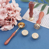 DIY Animal Theme Letter Seal Kits, with Brass Wax Seal Stamp Heads, Rosewood Handle, Candle and Sealing Stamp Wax Spoons, Golden, Stamp Head: 25x14mm, 4pcs/set