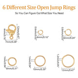304 Stainless Steel Open Jump Ring, with Lobster Claw Clasps, Golden & Stainless Steel Color, 12x2mm, Inner Diameter: 8mm, 870pcs/set