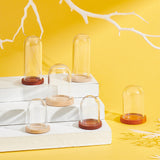 12 Sets 6 Style Glass Dome Cover, Decorative Display Case, Cloche Bell Jar Terrarium with Wood Base, Mixed Color, 25~30x33.5~41.5mm, 2 sets/style