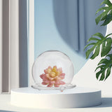 Glass Dome Cover, Decorative Display Case, Cloche Bell Jar Terrarium with Glass Base, Clear, 130x120mm