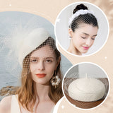 1M Polyester Mesh Fabric, for DIY Bride Veils Hats Fascinators, Clear AB, 28cm