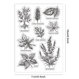 Plants Summer Theme Clear Stamps