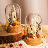 20 Set Glass Dome Cover, Decorative Display Case, Cloche Bell Jar Terrarium with Cork Base, Arch, Clear, 30x68.5mm