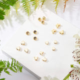 Brass Beads, Butterfly & Heart, Real 18K Gold Plated, 40pcs/box