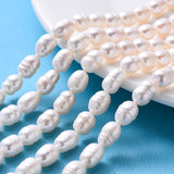 2 Strands Natural Cultured Freshwater Pearl Beads Strands, Oval, Beige, 8.5~12x6.5~7.5mm, Hole: 0.8mm, about 32~39pcs/strand, 13.82 inch~14.37 inch(35.1cm~36.5cm)