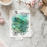 Peacock Clear Stamps
