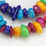 Natural Shell Beads Strands, Dyed, Amorphous, Mixed Color, 5~29x4~9x1~5mm, hole: 1mm, 130~170pcs/strand, 30 inch, 10Strand/Set