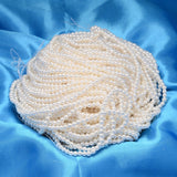 Round Shell Pearl Bead Strands, White, 2.5mm, Hole: 0.5mm, about 169pcs/strand, 15.74 inch, 5Strand/Set