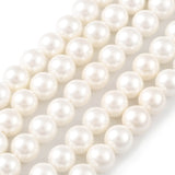 Shell Pearl Bead Strands, Loose Beads for Jewelry Making, Grade A, Round, Floral White, 6mm, Hole: 0.8mm, about 62pcs/strand, 16 inch, 5Strand/Set