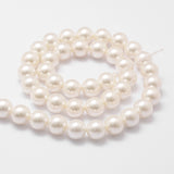 Shell Pearl Bead Strands, Loose Beads for Jewelry Making, Grade A, Round, Floral White, 6mm, Hole: 0.8mm, about 62pcs/strand, 16 inch, 5Strand/Set