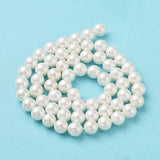 Shell Pearl Bead Strands, Loose Beads for Jewelry Making, Grade A, Round, Floral White, 6mm, Hole: 0.8mm, about 62pcs/strand, 16 inch, 5Strand/Set