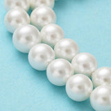 Shell Pearl Bead Strands, Loose Beads for Jewelry Making, Grade A, Round, Floral White, 6mm, Hole: 0.8mm, about 62pcs/strand, 16 inch, 5Strand/Set