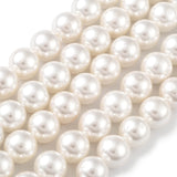 Shell Pearl Bead Strands, Loose Beads for Jewelry Making, Grade A, Round, Floral White, 8mm, Hole: 1mm, about 47pcs/strand, 15.5 inch, 5Strand/Set