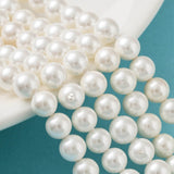 Shell Pearl Bead Strands, Loose Beads for Jewelry Making, Grade A, Round, Floral White, 8mm, Hole: 1mm, about 47pcs/strand, 15.5 inch, 5Strand/Set