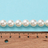 Shell Pearl Bead Strands, Loose Beads for Jewelry Making, Grade A, Round, Floral White, 8mm, Hole: 1mm, about 47pcs/strand, 15.5 inch, 5Strand/Set