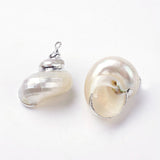 Electroplate Spiral Shell Pendants, with Iron Findings, Conch, Platinum, 24~31x18~24x15~16mm, Hole: 2mm, 20pc/Set