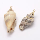 Golden Electroplated Conch Shell Pendants, 26~52x13~23x15~17mm, Hole: 2mm, 10pc/Set