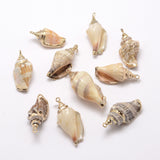 Golden Electroplated Conch Shell Pendants, 26~52x13~23x15~17mm, Hole: 2mm, 10pc/Set