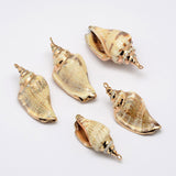 Golden Electroplated Conch Shell Pendants, 26~52x13~23x15~17mm, Hole: 2mm, 10pc/Set