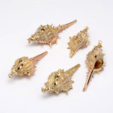 Golden Electroplated Conch Shell Pendants, 18~63x13~28x12~23mm, Hole: 2mm, 10pc/Set