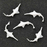 3D Resin Model, UV Resin Filler, Epoxy Resin Jewelry Making, Shark Shaped, White, 18x11x3.5mm