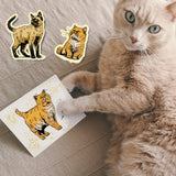 Cat Shape PVC Stamps