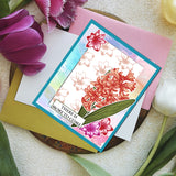 Hyacinth Clear Stamps