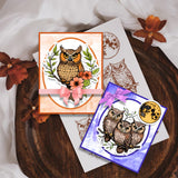 PVC Plastic Clear Stamps, for DIY Scrapbooking, Photo Album Decorative, Cards Making, Owl, 160x110mm