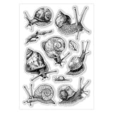 Halloween PVC Plastic Clear Stamps, for DIY Scrapbooking, Photo Album Decorative, Cards Making, Snail, 160x110mm